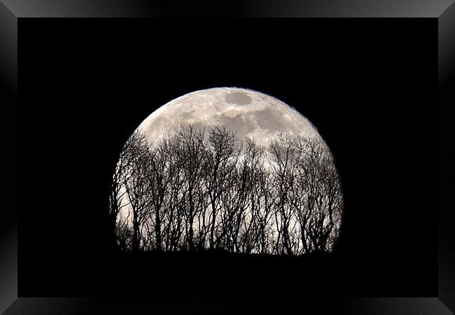 Silhouette Moonrise Framed Print by Susan Snow
