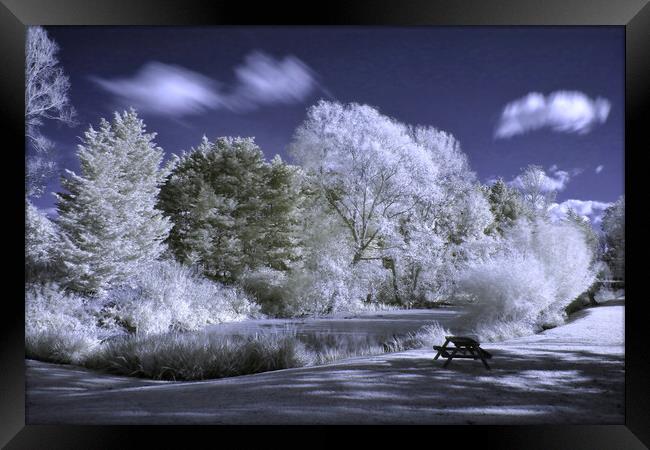 Beckford Lake in Infrared Framed Print by Susan Snow