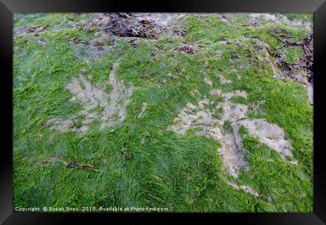 Dinosaur Footprints on the Isle of Skye Framed Print by Susan Snow