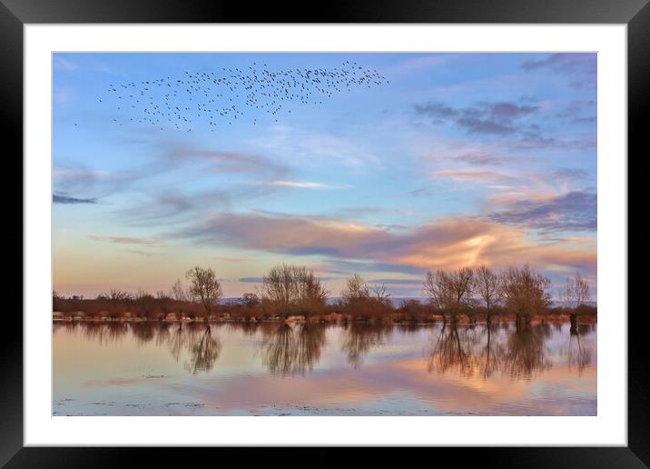 Ashleworth Ham Nature Reserve Framed Mounted Print by Susan Snow