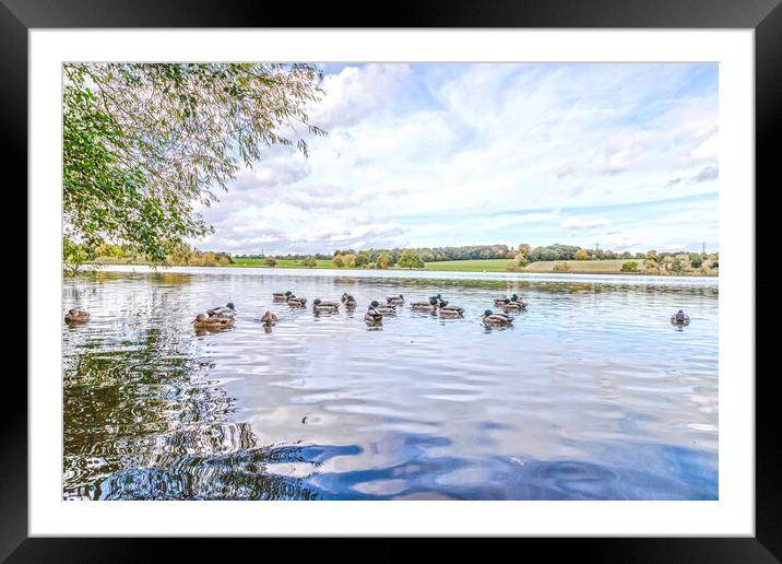 Marbury mere Framed Mounted Print by Mike Hughes