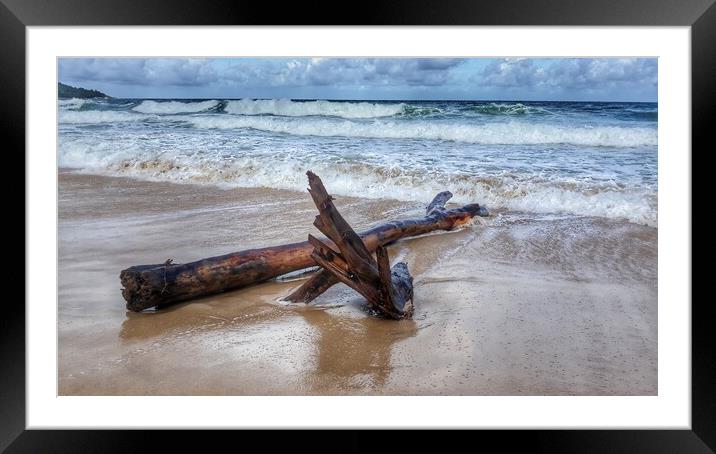 Thai driftwood Framed Mounted Print by Mike Hughes