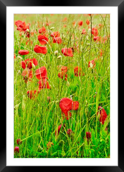 Poppy Field Framed Mounted Print by Penny Martin