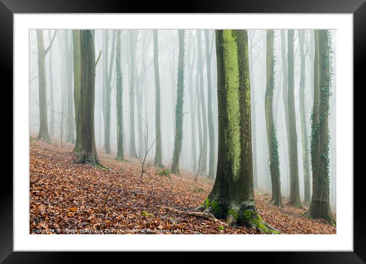 Friston Forest Framed Mounted Print by Slawek Staszczuk