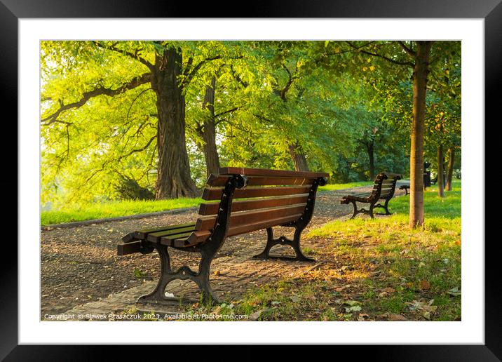 Autumn in the Park Framed Mounted Print by Slawek Staszczuk