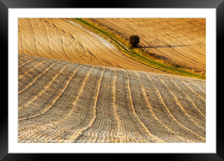 Furrows Framed Mounted Print by Slawek Staszczuk