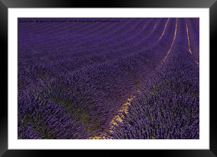 Lavender fields in Provence, France  Framed Mounted Print by Wendy McDonnell