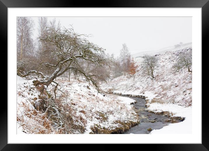 Winter in Swaledale, Yorkshire Dales  Framed Mounted Print by Wendy McDonnell