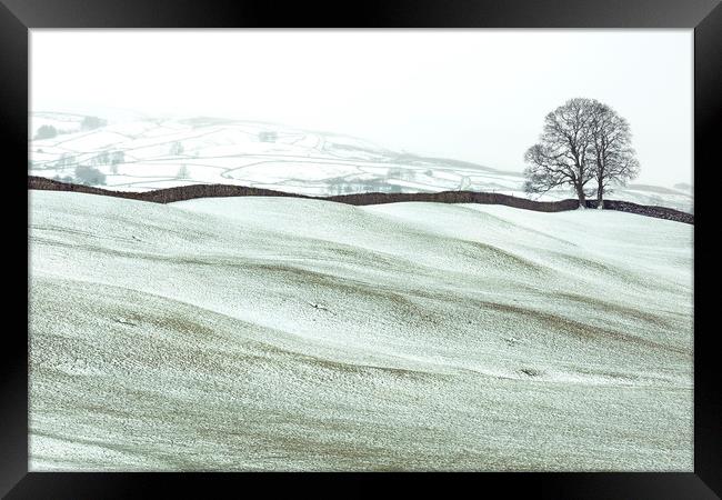 Winter in Wensleydale, Yorkshire Dales  Framed Print by Wendy McDonnell