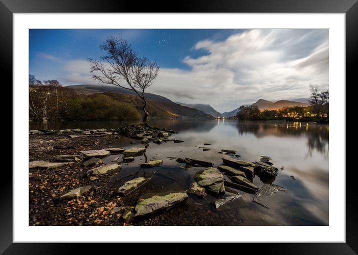 Lonely Tree Framed Mounted Print by Kingsley Summers