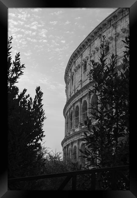 Colosseum, Rome Framed Print by Rob Evans