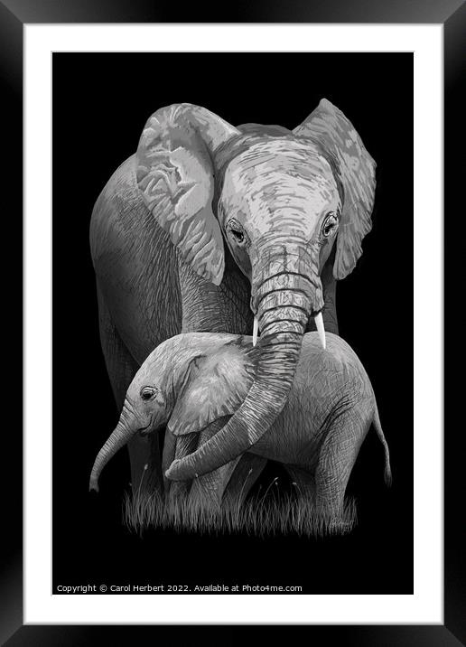 Mother and Baby Elephant Original Art Framed Mounted Print by Carol Herbert