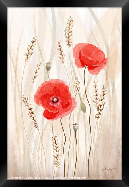 Poppies and Corn Original Art Framed Print by Carol Herbert