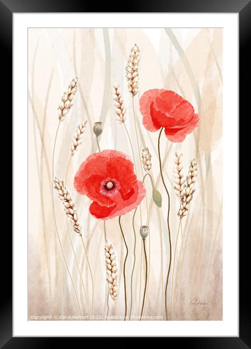 Poppies and Corn Original Art Framed Mounted Print by Carol Herbert