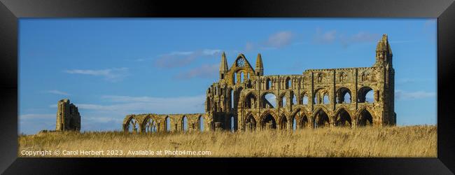 Whitby Abbey Sunset Framed Print by Carol Herbert