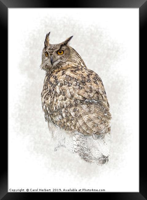 Turkmenian Eagle Owl Framed Print by Carol Herbert