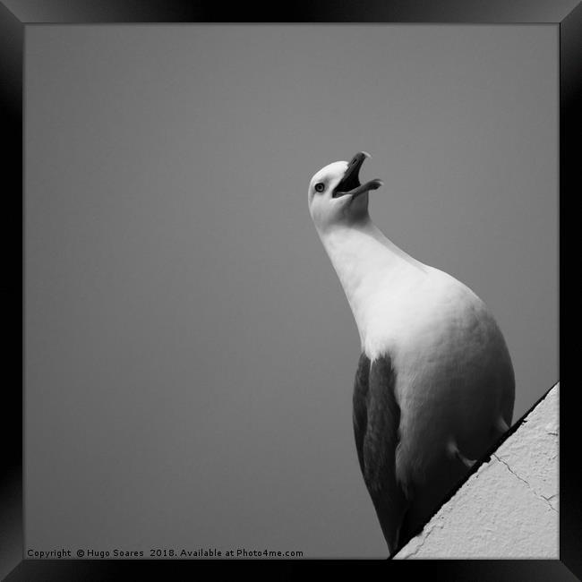 TheSeagull Framed Print by Hugo Soares