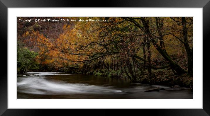 Autumn Colours in North wales Framed Mounted Print by David Thurlow