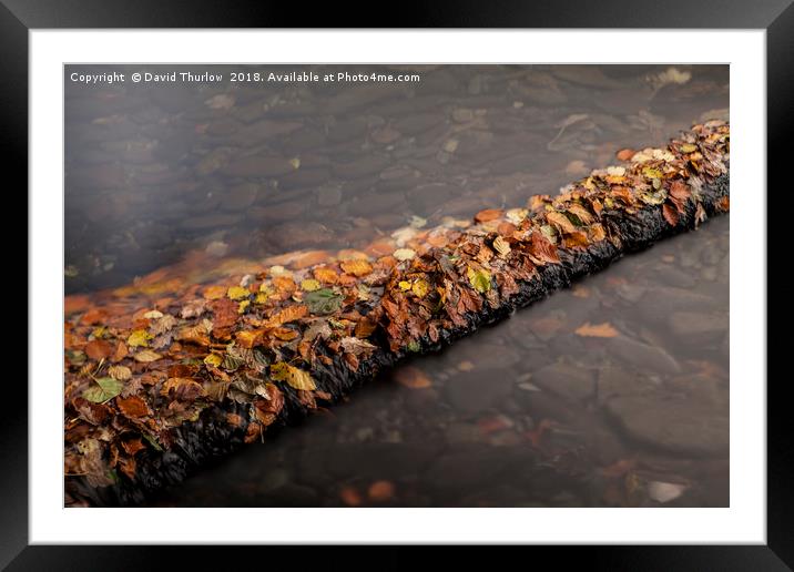 Autumn Leaf Dam Framed Mounted Print by David Thurlow