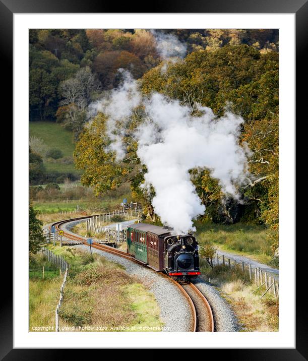 Welsh Pony on the Welsh Highland Railway Framed Mounted Print by David Thurlow