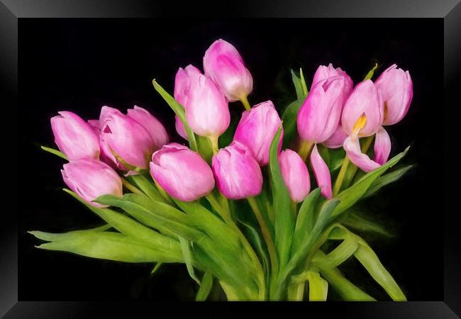 Tulips Framed Print by Gary chadbond