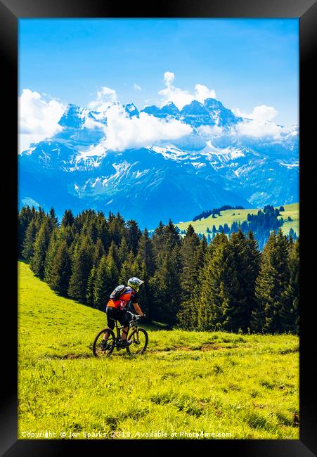 Mountain biker and Dents du Midi Framed Print by Jon Sparks