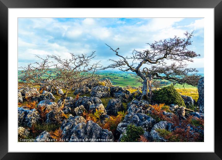 Hawthorn trees and limestone pavement Framed Mounted Print by Jon Sparks