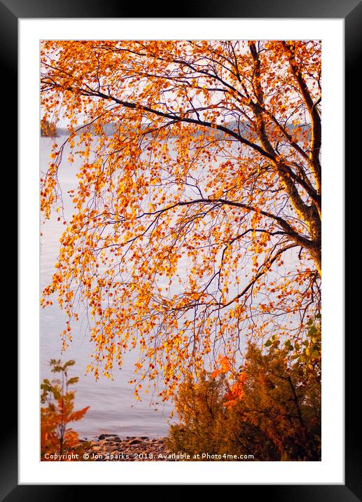 Autumn colours, Lake Pielinen Framed Mounted Print by Jon Sparks