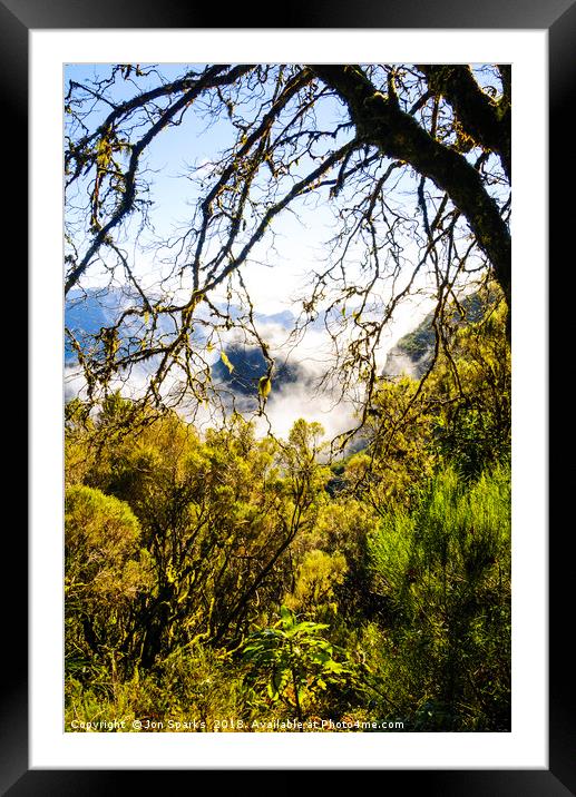 Cloud forest, Madeira Framed Mounted Print by Jon Sparks