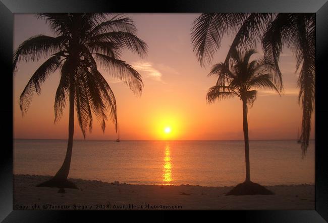 Cuban Sunset Framed Print by Jannette Gregory