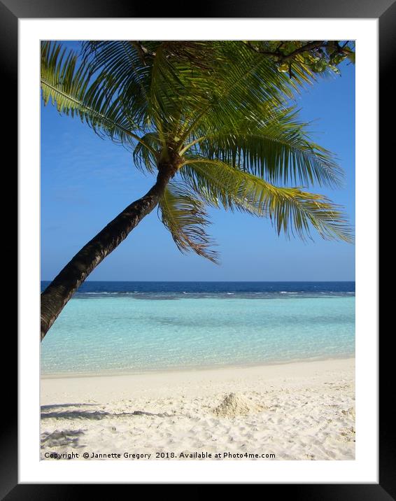 Maldives beach Framed Mounted Print by Jannette Gregory