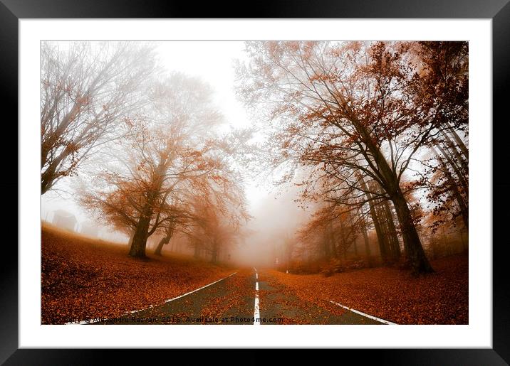 Road in fog Framed Mounted Print by Alexandru Razvan