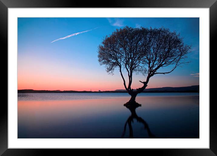                                The Lonely Tree Framed Mounted Print by jason jones