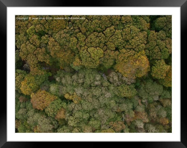 Looking down on Autumn Framed Mounted Print by jason jones