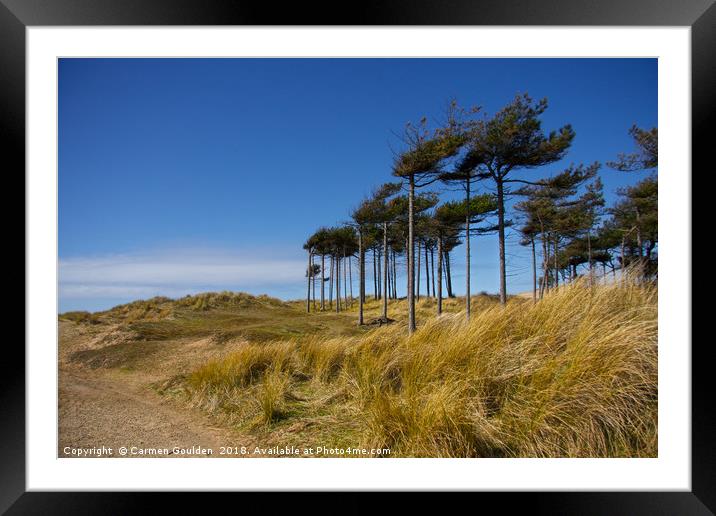 Wind swept trees at Formby Beach Framed Mounted Print by Carmen Goulden