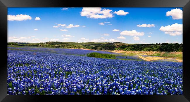 A Sea of Blue Panoramic Framed Print by Chuck Underwood
