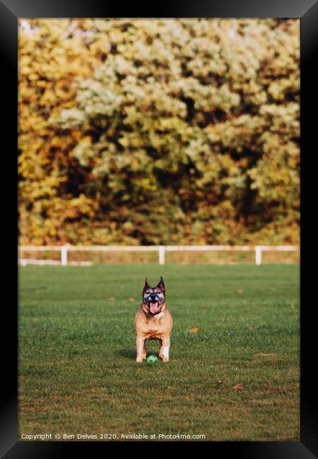 Come and play Framed Print by Ben Delves