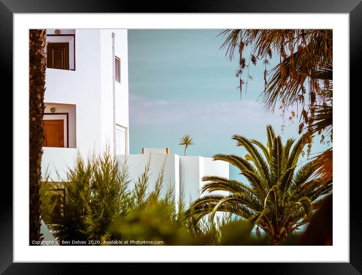 Palm on a terrace Framed Mounted Print by Ben Delves