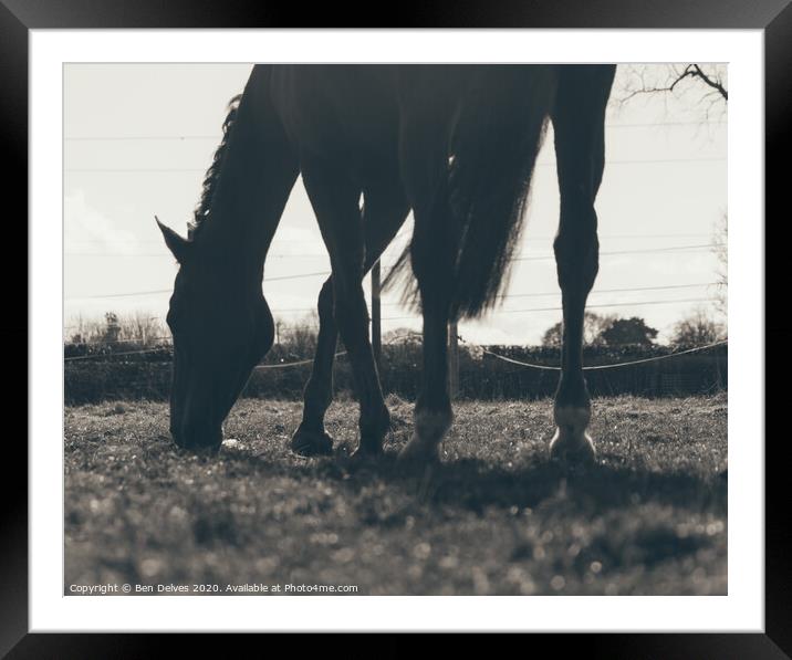 Majestic Equine in the Springtime Framed Mounted Print by Ben Delves