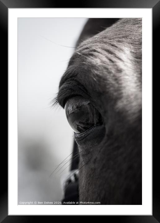 Mesmerizing Equine Gaze Framed Mounted Print by Ben Delves