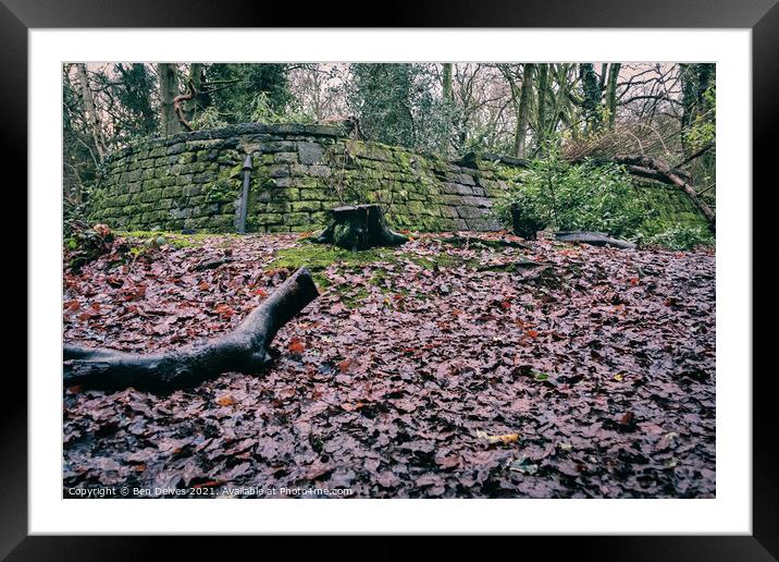 The Historic Wall of Eastham Woods Framed Mounted Print by Ben Delves