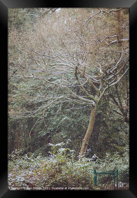 Enchanted Winter Forest Framed Print by Ben Delves