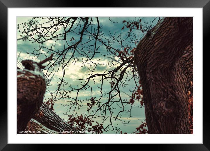 The sky through the branches Framed Mounted Print by Ben Delves