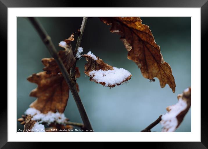 Winter's Nature's Cup Framed Mounted Print by Ben Delves