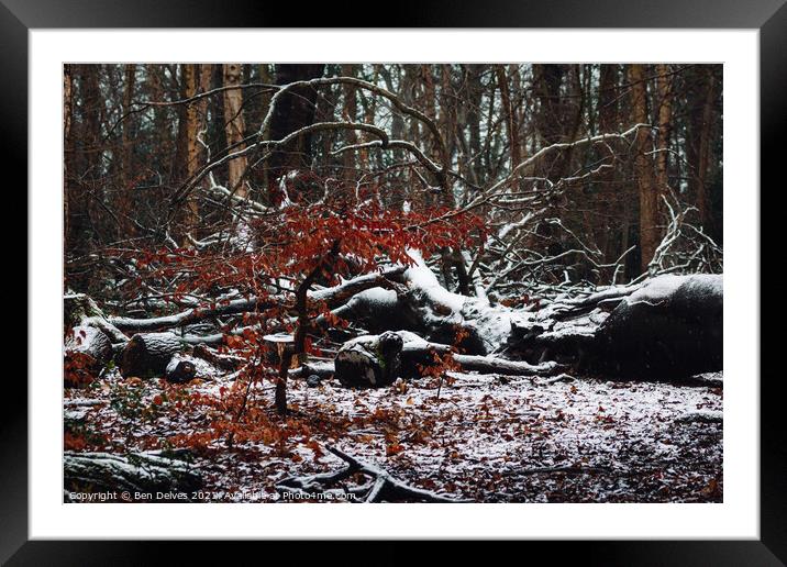 Rusty leaves in winter Framed Mounted Print by Ben Delves