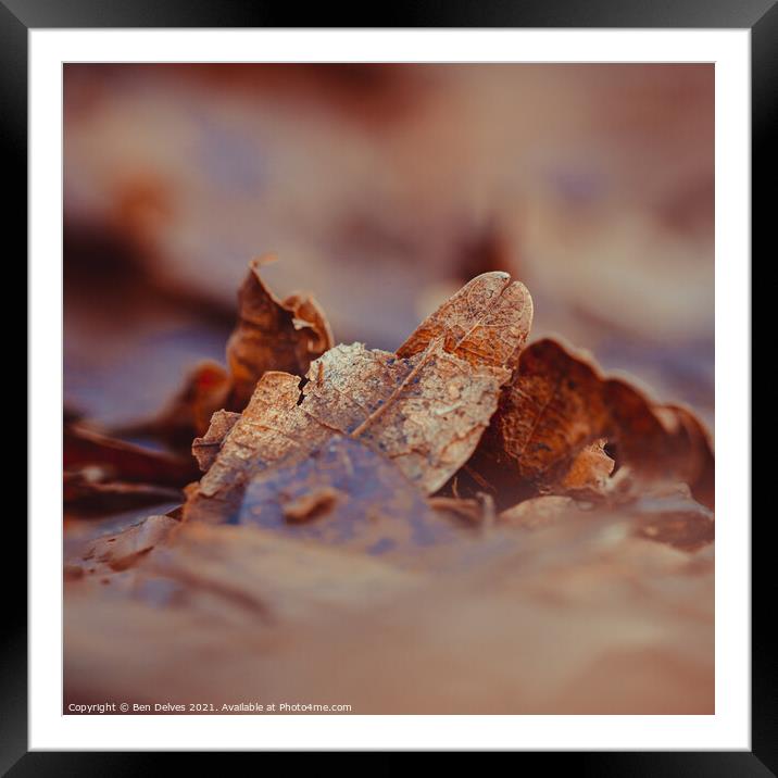 Leaves on the ground Framed Mounted Print by Ben Delves