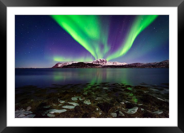 Northern lights in Lofoten Framed Mounted Print by Lukasz Lukomski