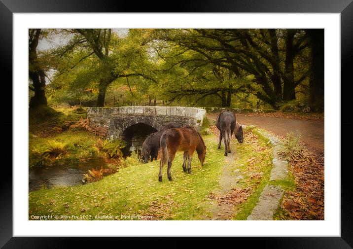 Ponies by a Dartmoor Bridge Framed Mounted Print by Jean Fry