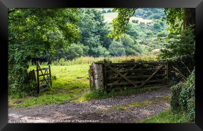 Farm gateways Huccaby - Dartmoor Framed Print by Jean Fry