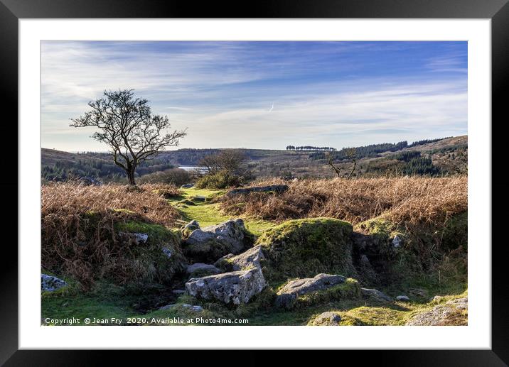 View from Down Tor on Dartmoor Framed Mounted Print by Jean Fry